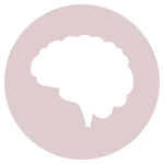 brain