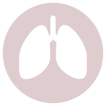 lung